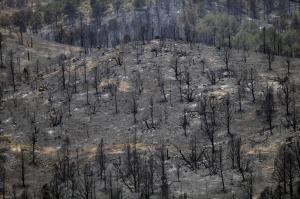 Yarnell Hill, Arizona