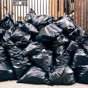 Left on the Curb? Reauthorization, Standardization & Special&nbsp;Education