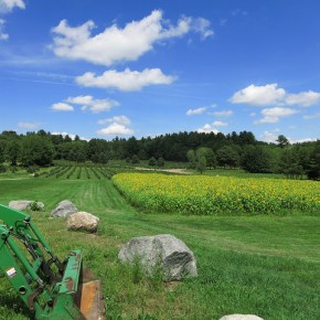 U.S. Agriculture: Economic Gains of Immigration&nbsp;Reform