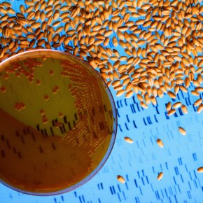 Extending the Age of&nbsp;Antibiotics