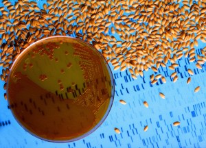 8455845163_53212d73f0_k